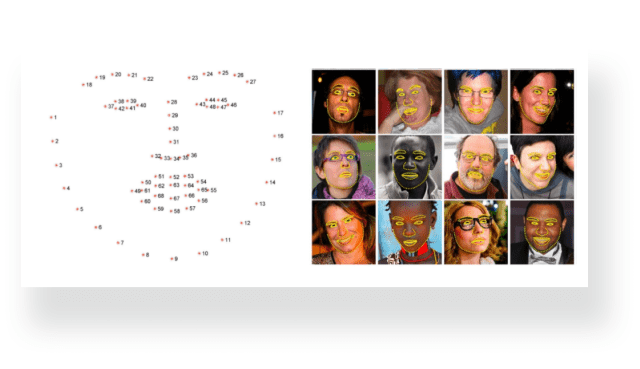 facial landmarks