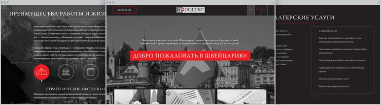 Development Doltec – Landing of professional services company